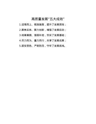 高质量发展“五大成效”.docx