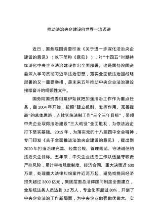 推动法治央企建设向世界一流迈进.docx