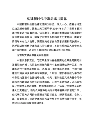 构建新时代中塞命运共同体.docx