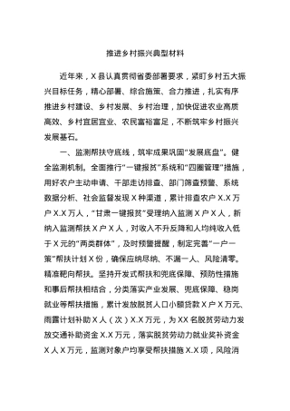 推进乡村振兴典型材料.docx