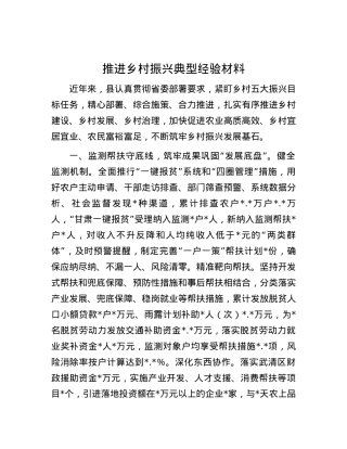 推进乡村振兴典型经验材料.docx