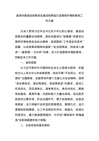 威海市推进自我革命实施流程再造打造营商环境新高地工作方案.docx