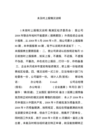 未及时上报情况说明.docx