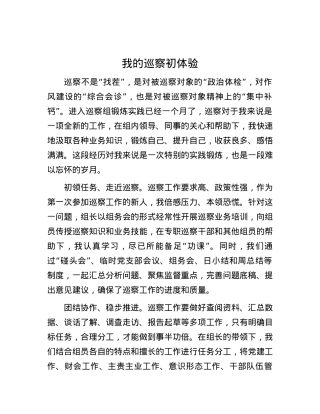 我的巡察初体验.docx