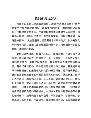 我们都是追梦人.docx