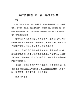 我在体制的日志：躺不平的大多数.docx