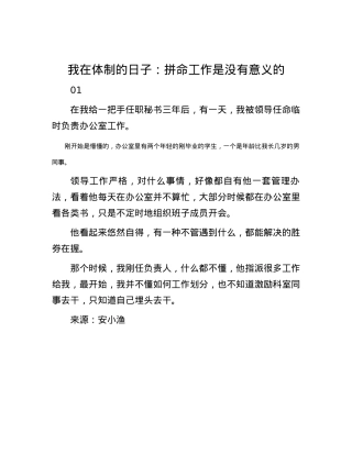 我在体制的日子：拼命工作是没有意义的.docx