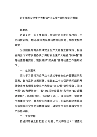 关于开展安全生产大检查“回头看”督导检查的通知.docx