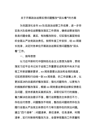 关于开展政治巡察反馈问题整改“回头看”的方案.docx