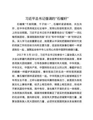 习近平总书记强调的“石榴籽”.docx