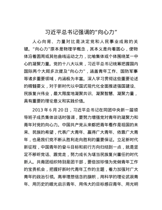 习近平总书记强调的“向心力”.docx