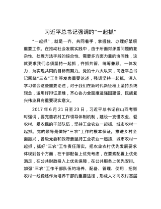 习近平总书记强调的“一起抓”.docx