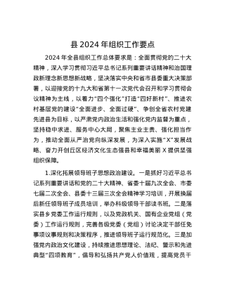 县2024年组织工作要点.docx