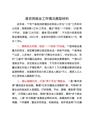 县农民就业工作情况典型材料.docx