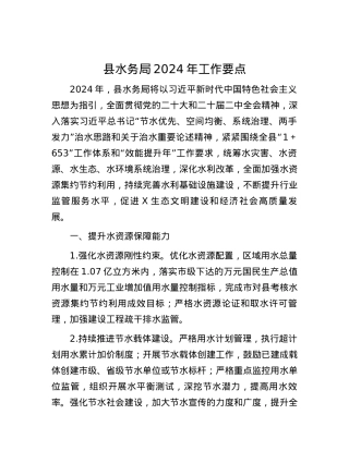 县水务局2024年工作要点.docx