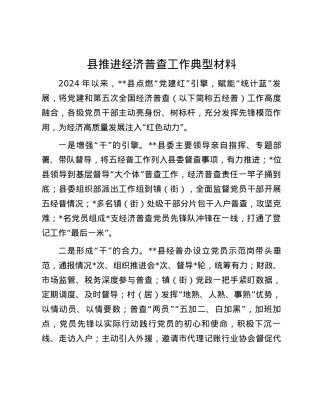县推进经济普查工作典型材料.docx