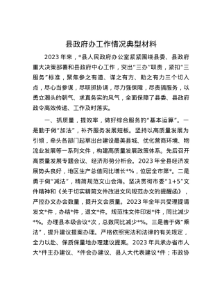县政府办工作情况典型材料.docx