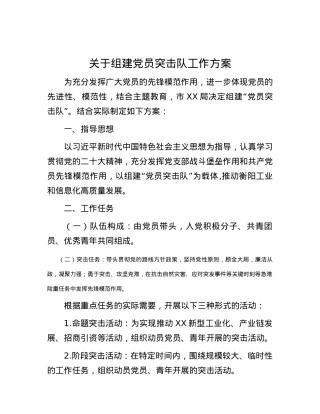 关于组建党员突击队工作方案.docx
