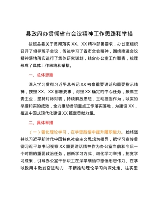 县政府办贯彻省市会议精神工作思路和举措.docx