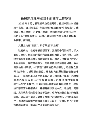 县自然资源局派驻干部驻村工作感悟.docx