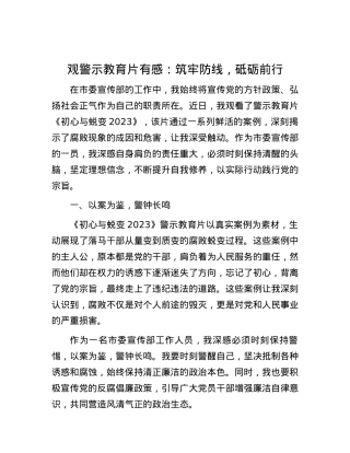观警示教育片有感：筑牢防线，砥砺前行.docx