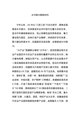 乡村振兴典型材料.docx