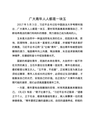 广大青年人人都是一块玉.docx
