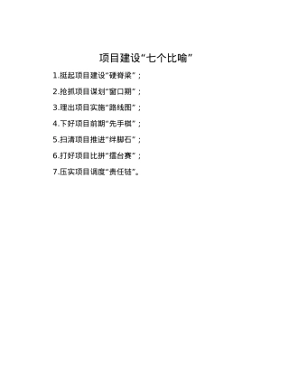 项目建设“七个比喻”.docx