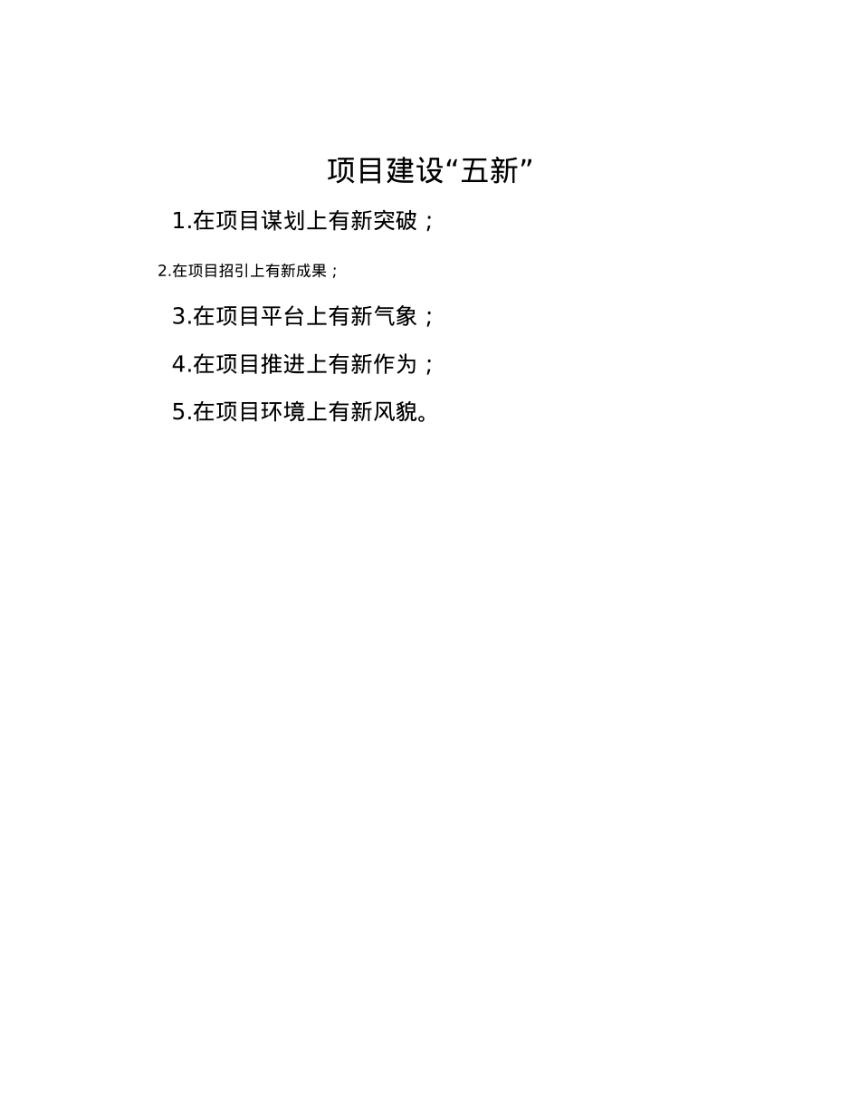 项目建设“五新”.docx_第1页