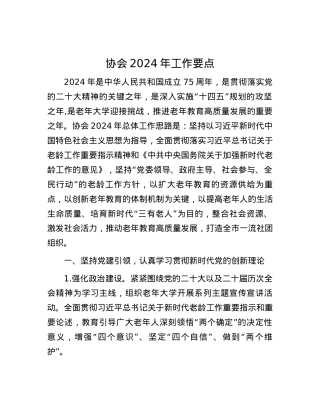 协会2024年工作要点.docx