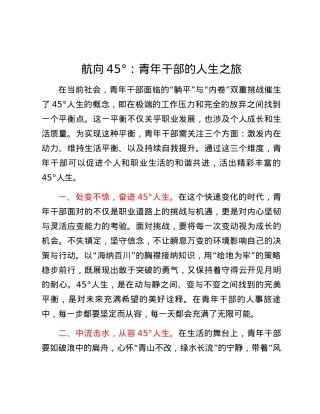 航向45°：青年干部的人生之旅.docx
