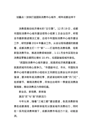 划重点！加快打造国际消费中心城市，明年成都这样干.docx