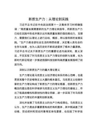 新质生产力：从理论到实践.docx