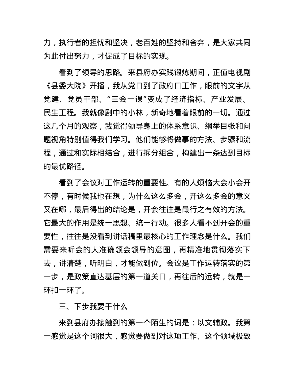 选调生刚到县府办的感悟.docx_第3页