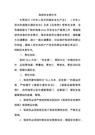 驾驶安全责任书.docx