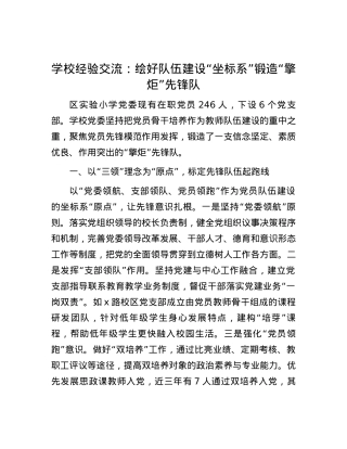 学校经验交流：绘好队伍建设“坐标系” 锻造“擎炬”先锋队.docx
