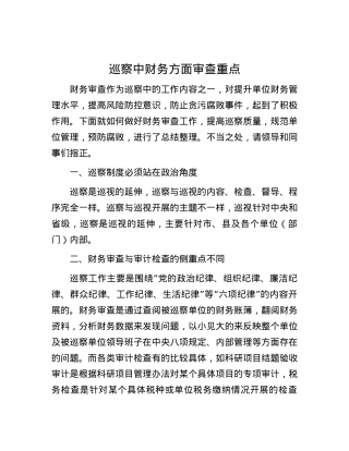 巡察中财务方面审查重点.docx