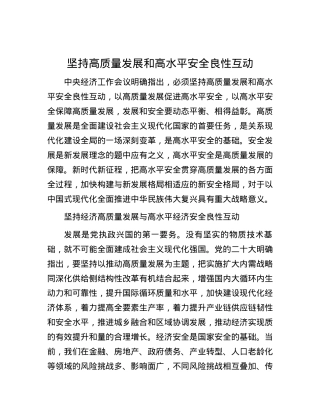 坚持高质量发展和高水平安全良性互动.docx