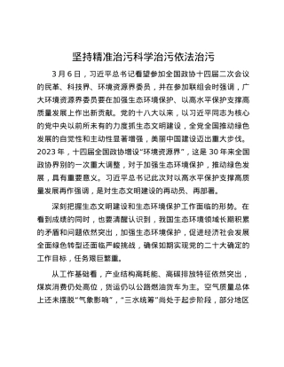 坚持精准治污科学治污依法治污.docx