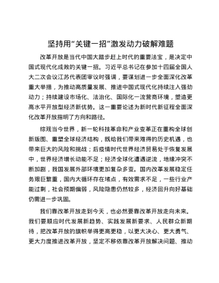 坚持用“关键一招”激发动力破解难题.docx