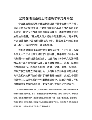坚持在法治基础上推进高水平对外开放.docx
