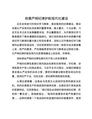 依靠严明纪律护航现代化建设.docx