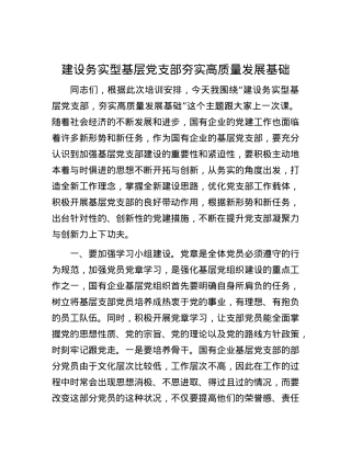 建设务实型基层党支部     夯实高质量发展基础.docx