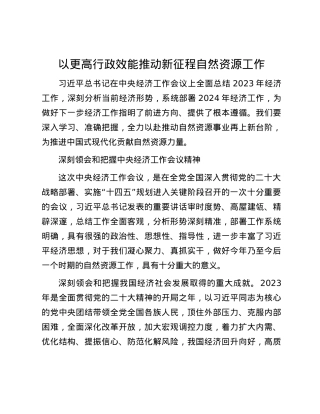 以更高行政效能推动新征程自然资源工作.docx