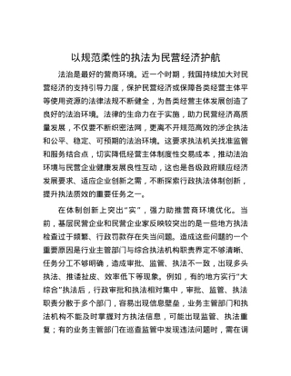 以规范柔性的执法为民营经济护航.docx