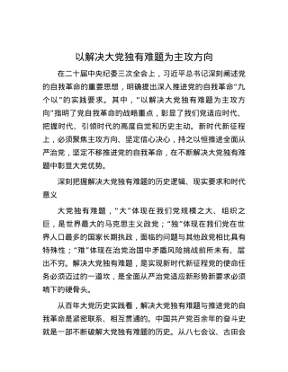 以解决大党独有难题为主攻方向.docx