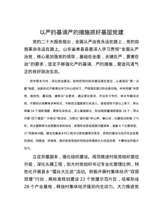 以严的基调严的措施抓好基层党建.docx