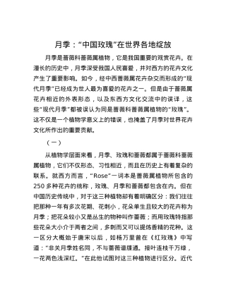 月季：“中国玫瑰”在世界各地绽放.docx