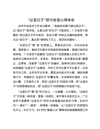 “过紧日子”研讨发言心得体会.docx