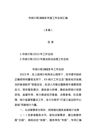 (2篇)市统计局2023年度工作总结汇编.docx